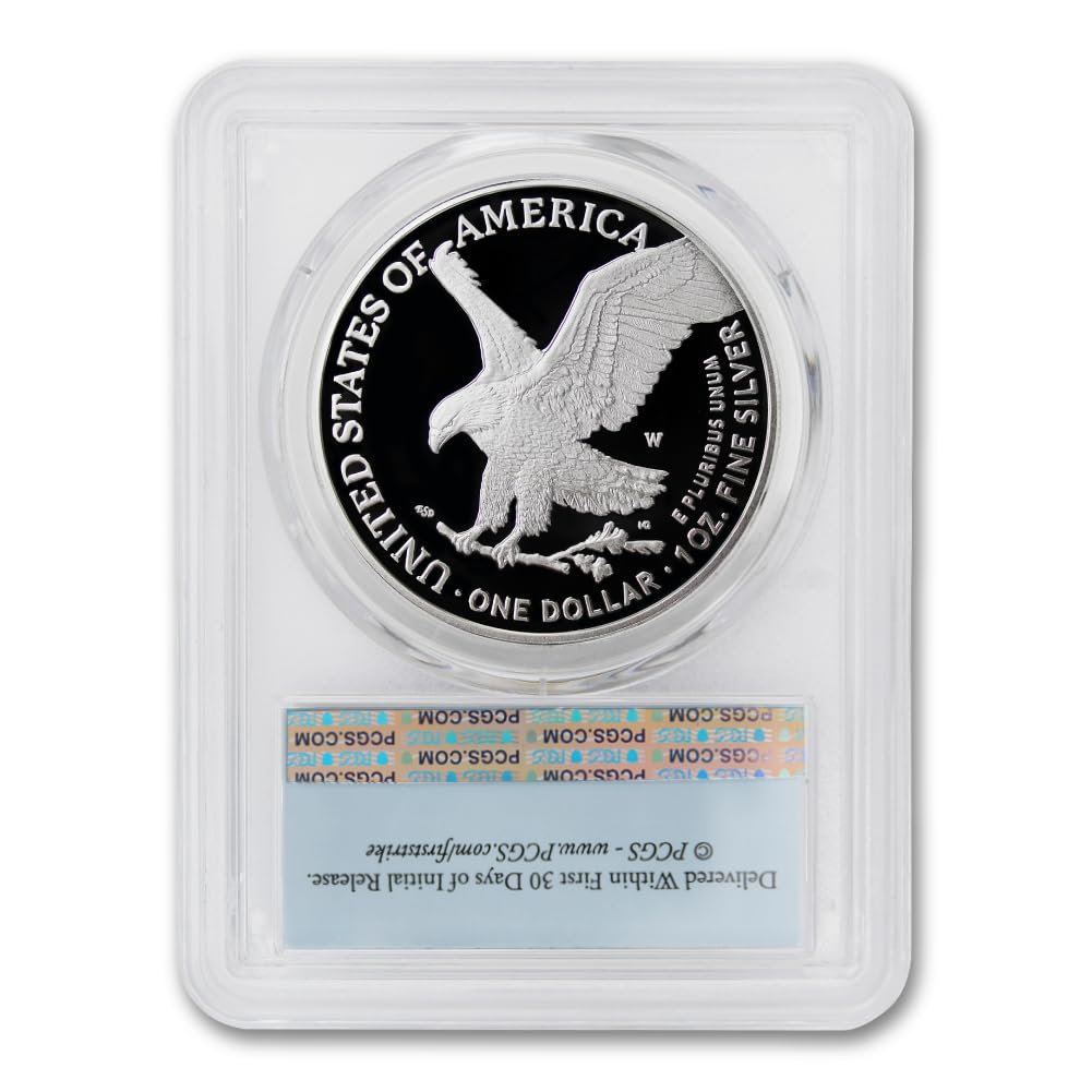 1 oz American Silver Eagle Coin I581