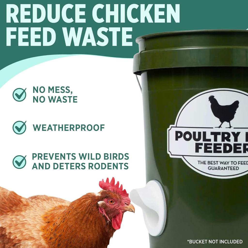 Chicken Feeder and Waterer Set with 3 Ports A682598