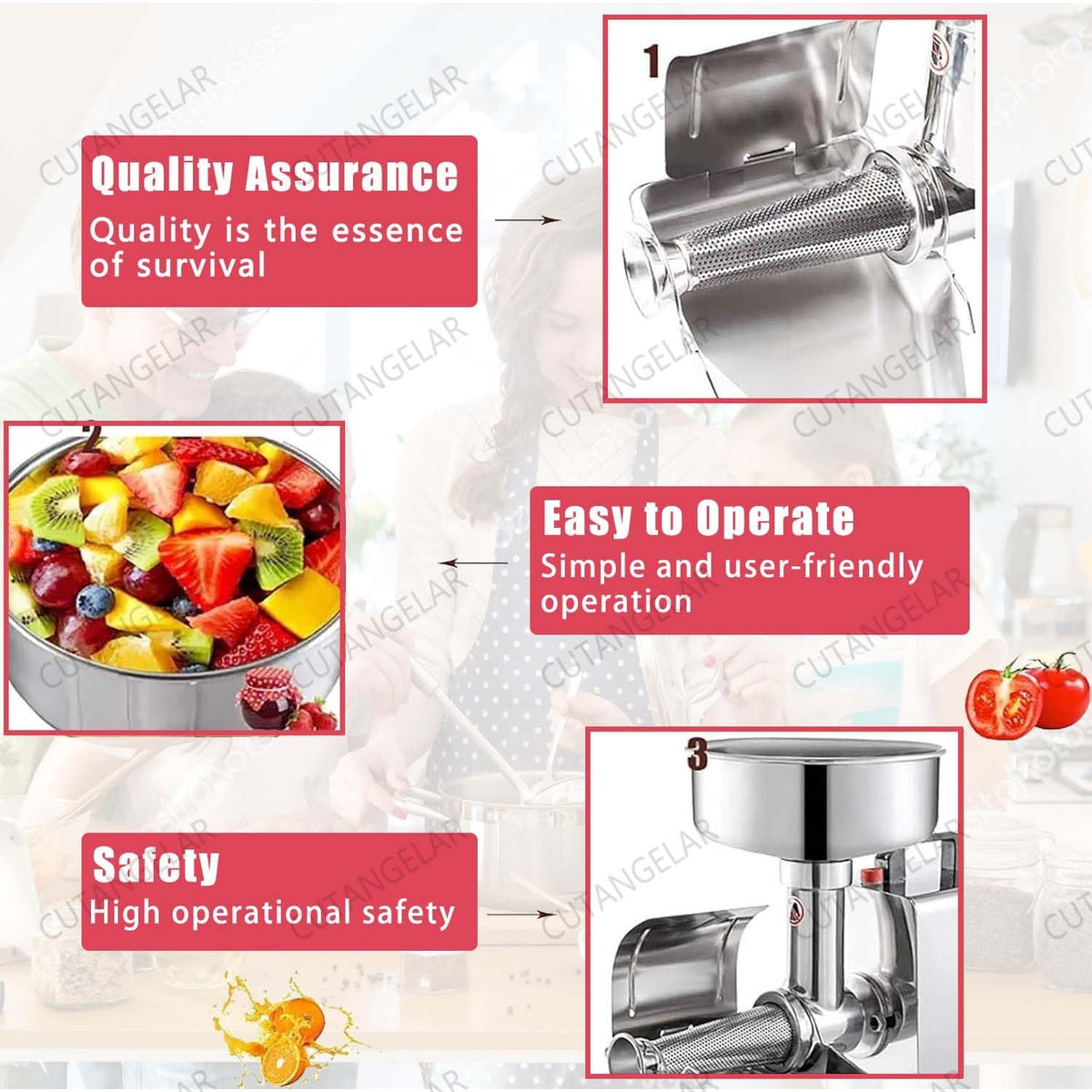 450W Stainless Steel Electric Juicer T29700