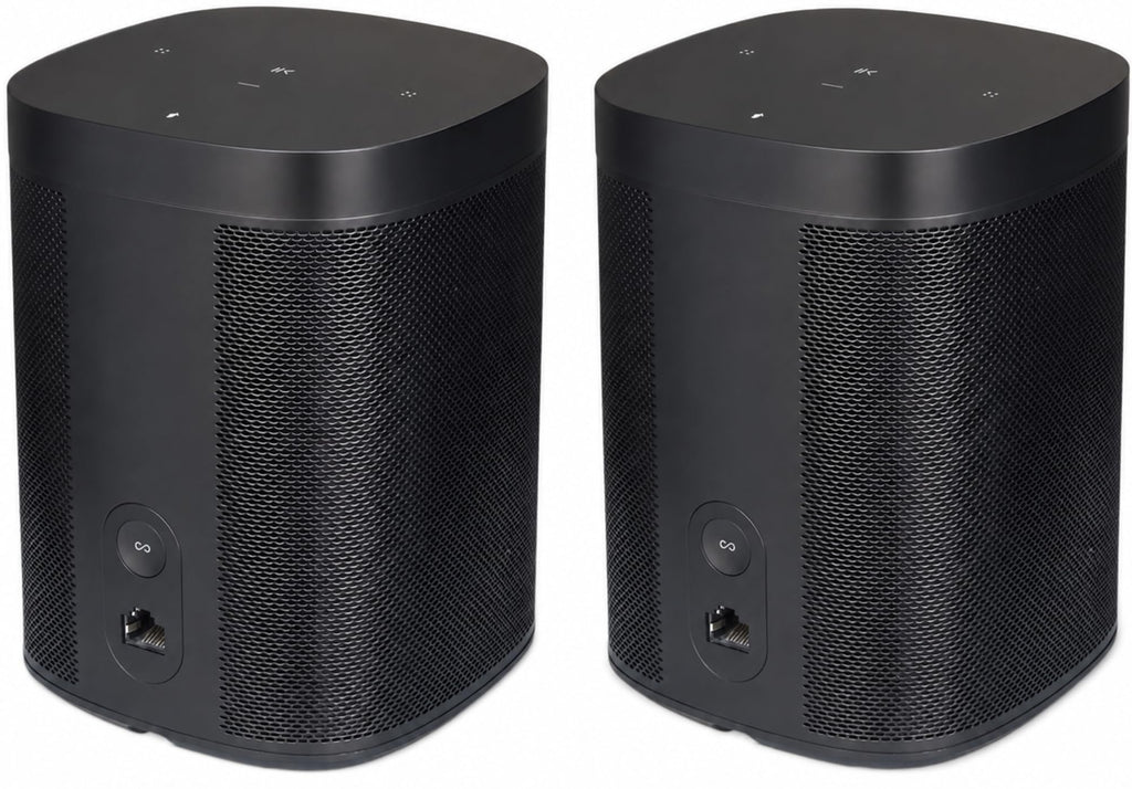 Black Voice Controlled Smart Speaker 2-Pack Y918