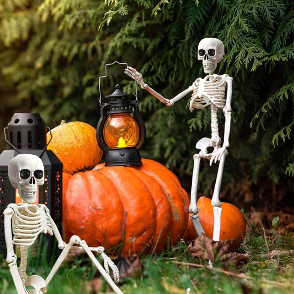 5.4Ft/165cm Life Size Skeleton with Movable Joints J695