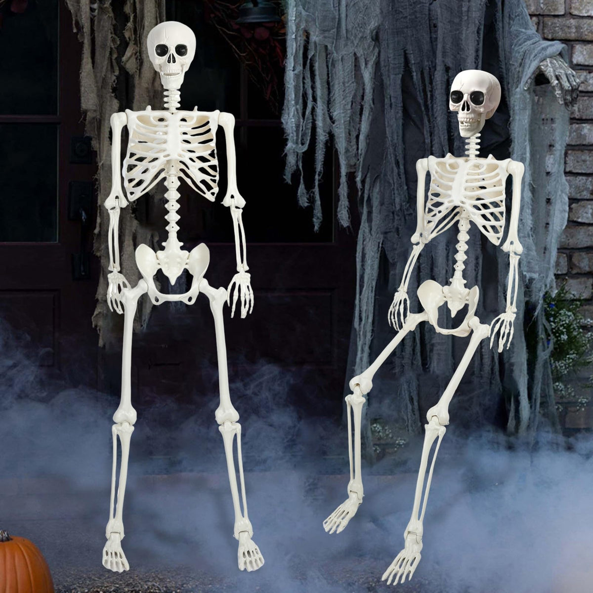 5.4Ft/165cm Life Size Skeleton with Movable Joints J695