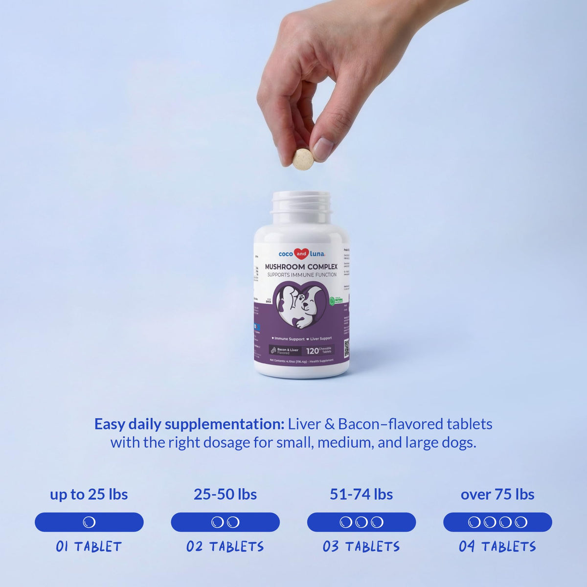 Turkey Tail Mushroom Supplement for Dogs, 120 ct D588326