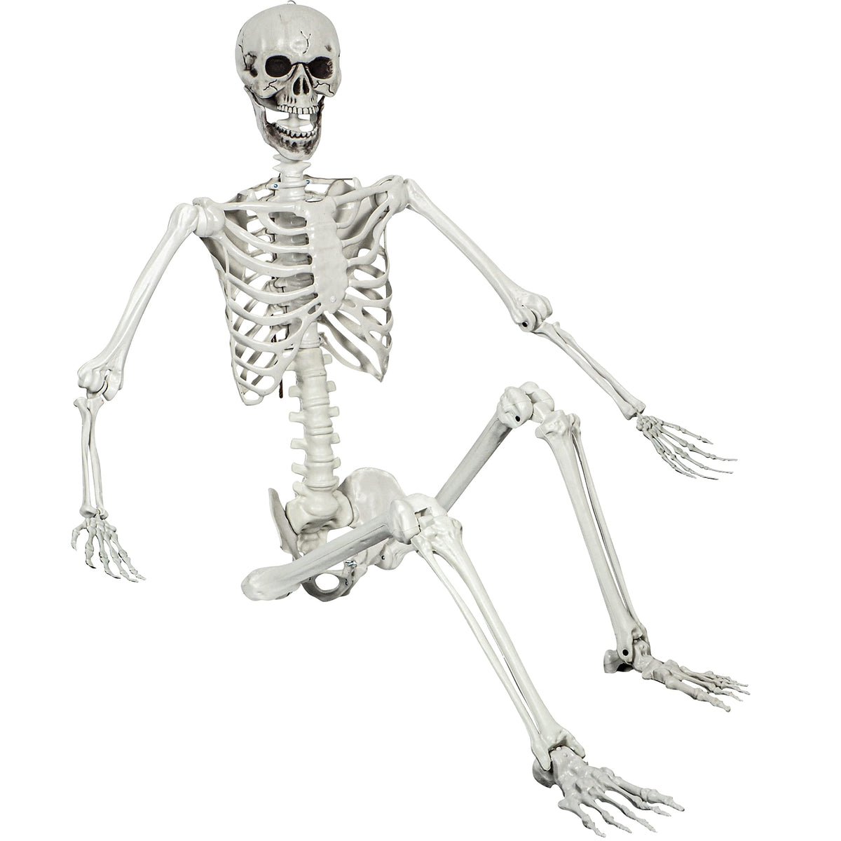 5.4ft Posable Life Size Skeleton with Movable Joints U62316