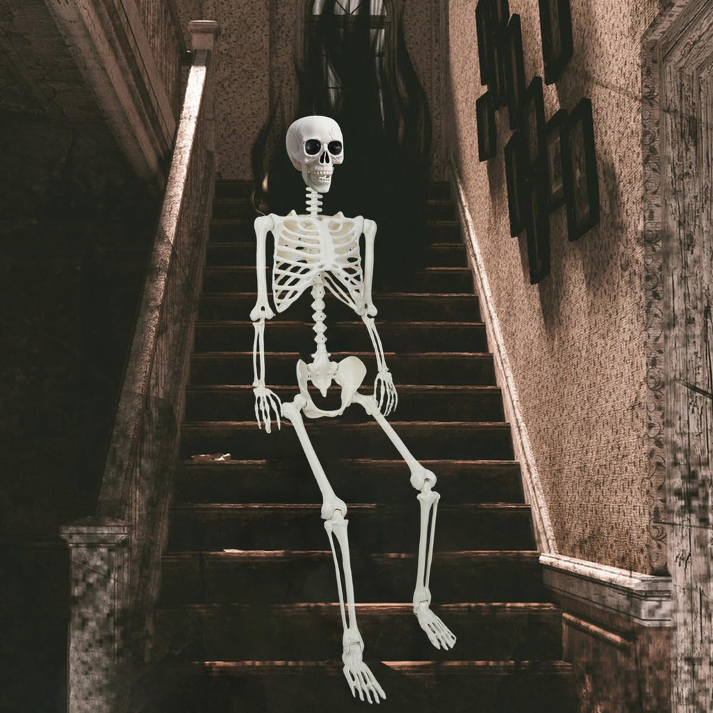 5.4Ft/165cm Life Size Skeleton with Movable Joints J695
