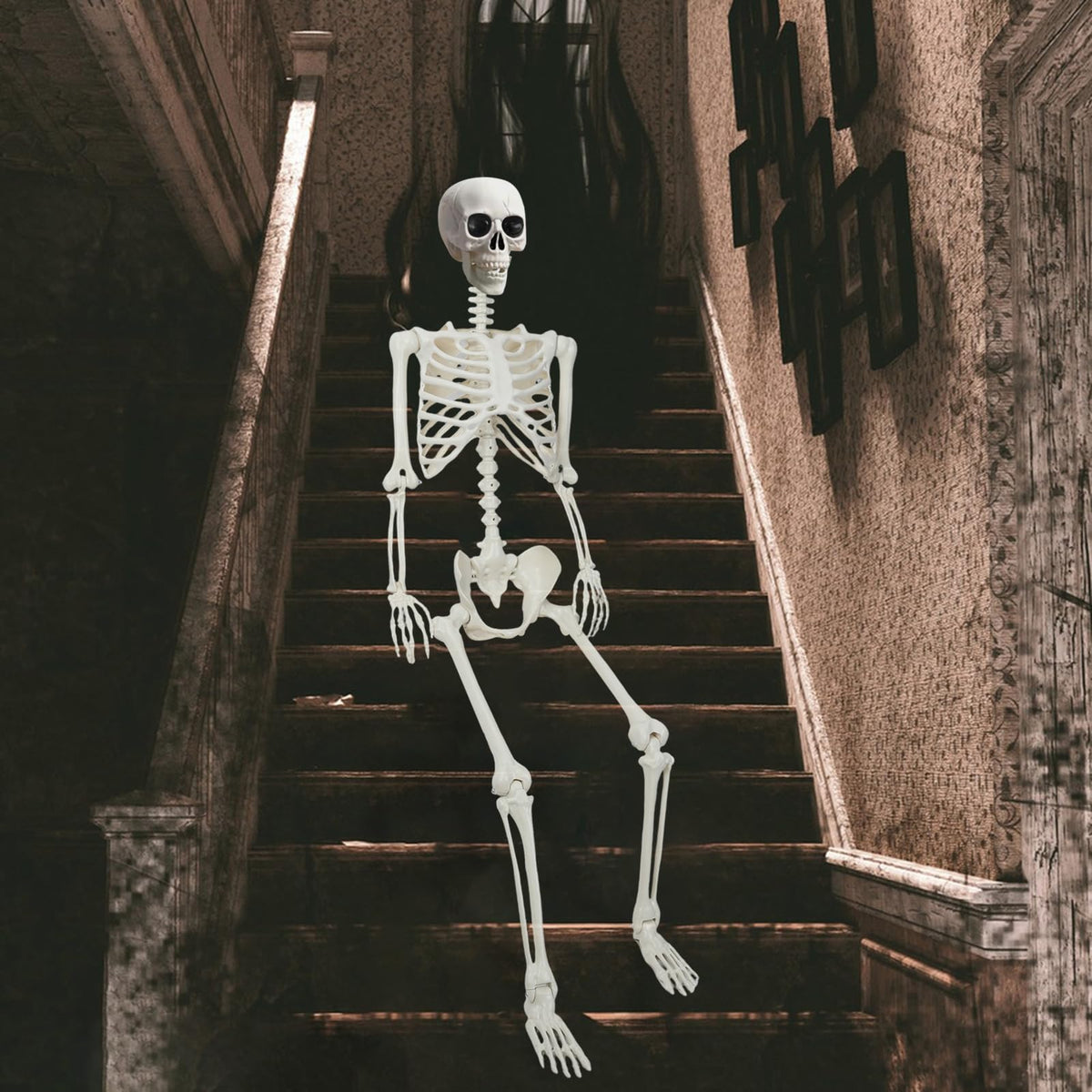 5.4Ft/165cm Life Size Skeleton with Movable Joints J695