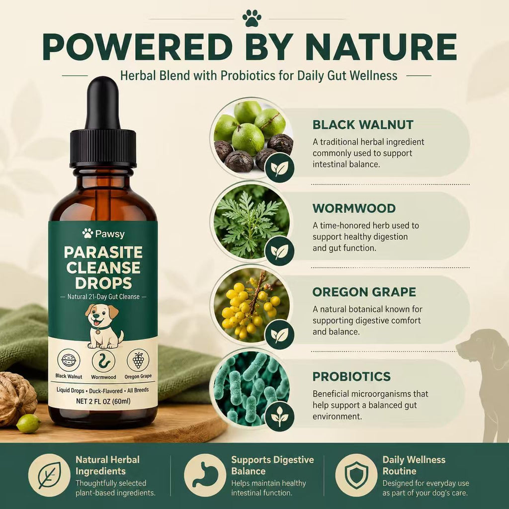 Herbal Digestive Support Liquid for Dogs 2 Fl Oz H437498