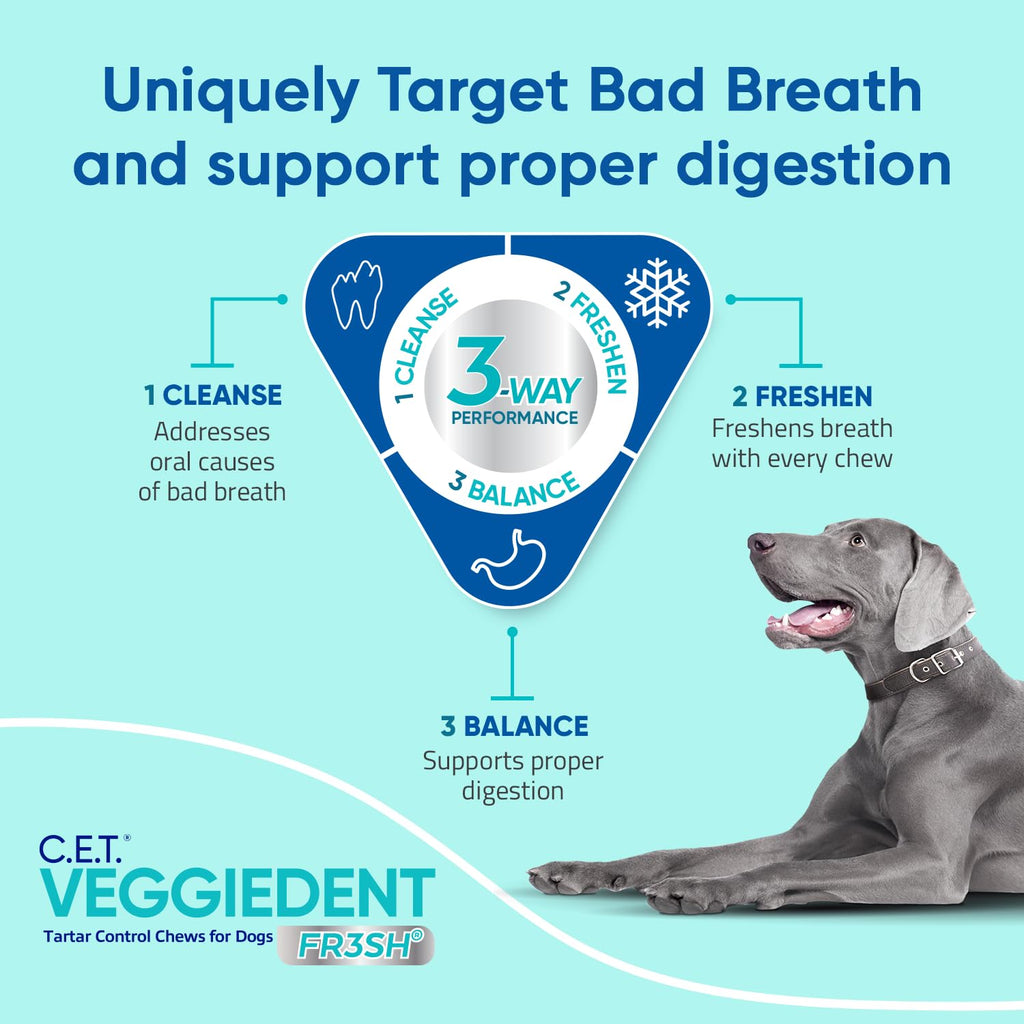 Plaque and Tartar Control Chews for Dogs, Medium T494