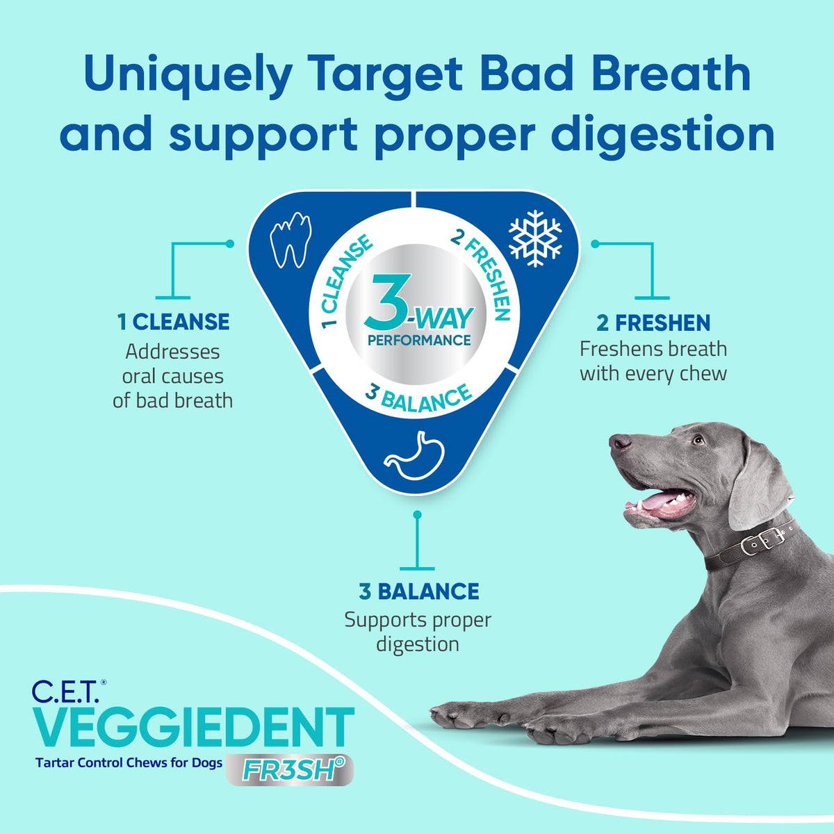 Plaque and Tartar Control Chews for Dogs, Medium T494
