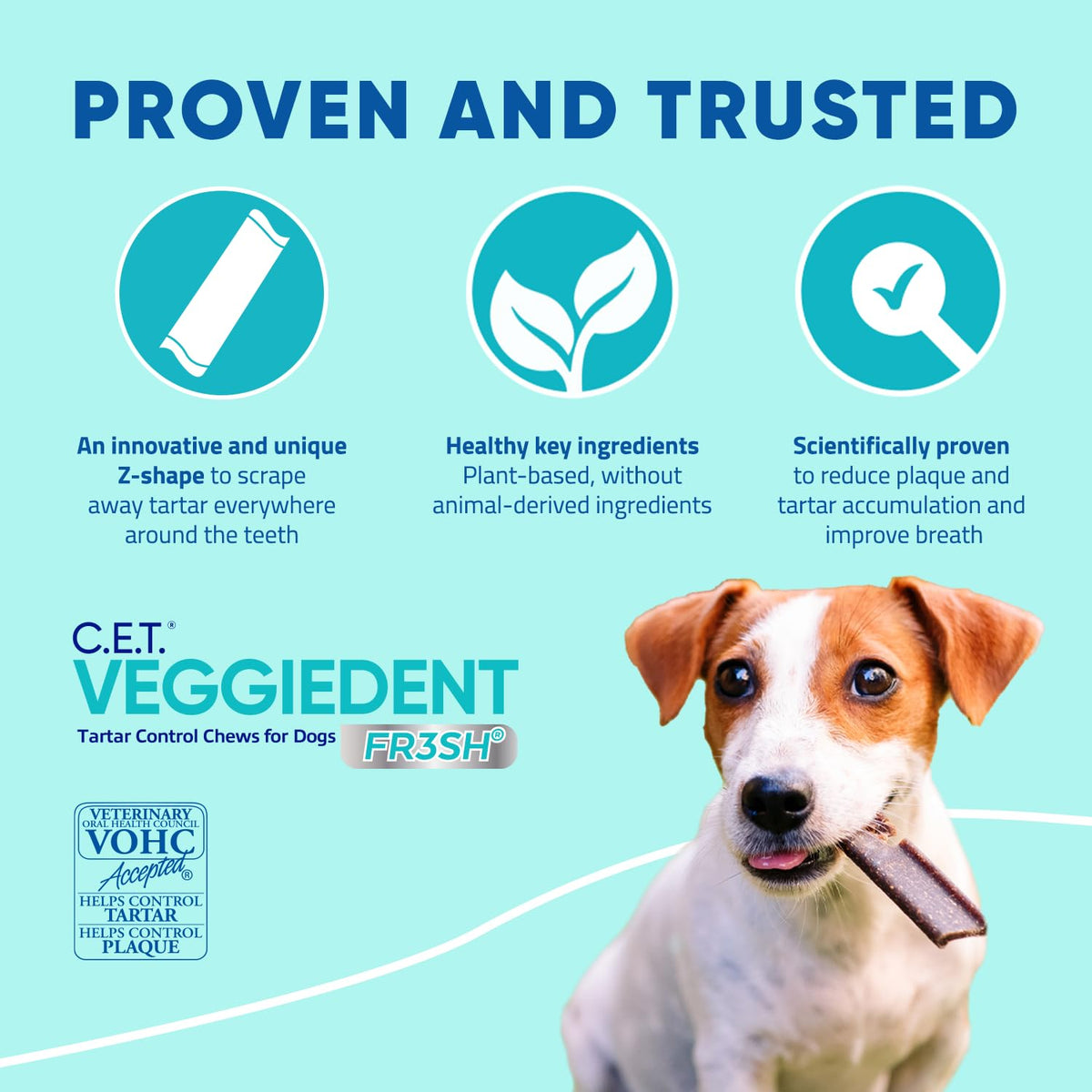 Plaque and Tartar Control Chews for Dogs, Medium T494