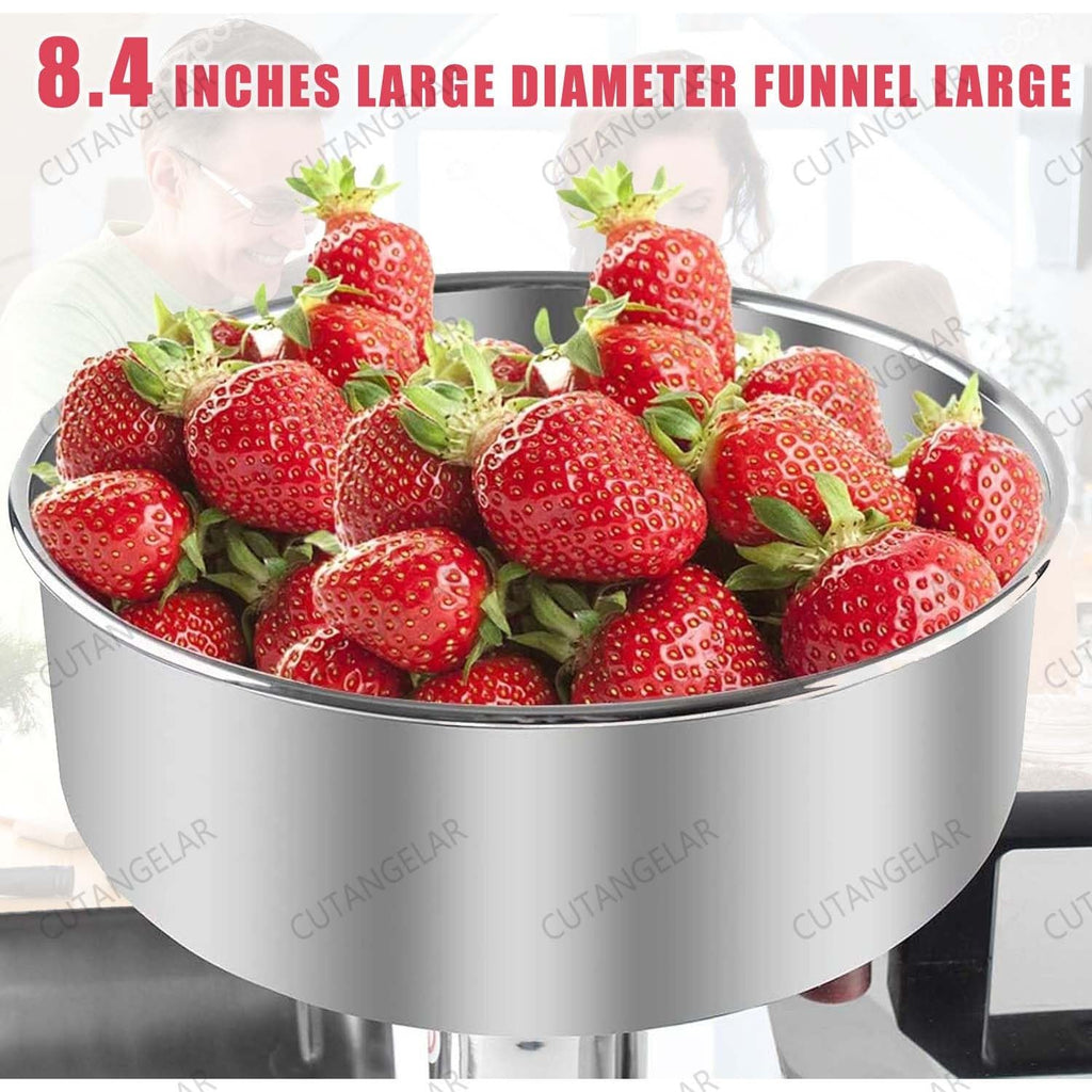450W Stainless Steel Electric Juicer T29700