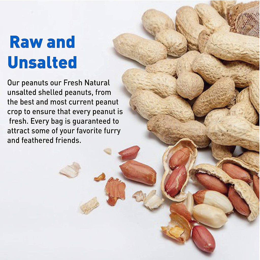 25 Pound Bag Raw Unsalted In-Shell Peanuts Q16816