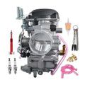 CV40 Carburetor with Idle Mixture Screw L6476