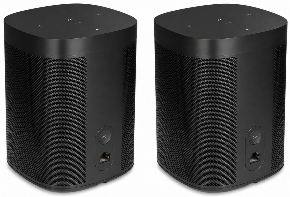 Black Voice Controlled Smart Speaker 2-Pack Y918