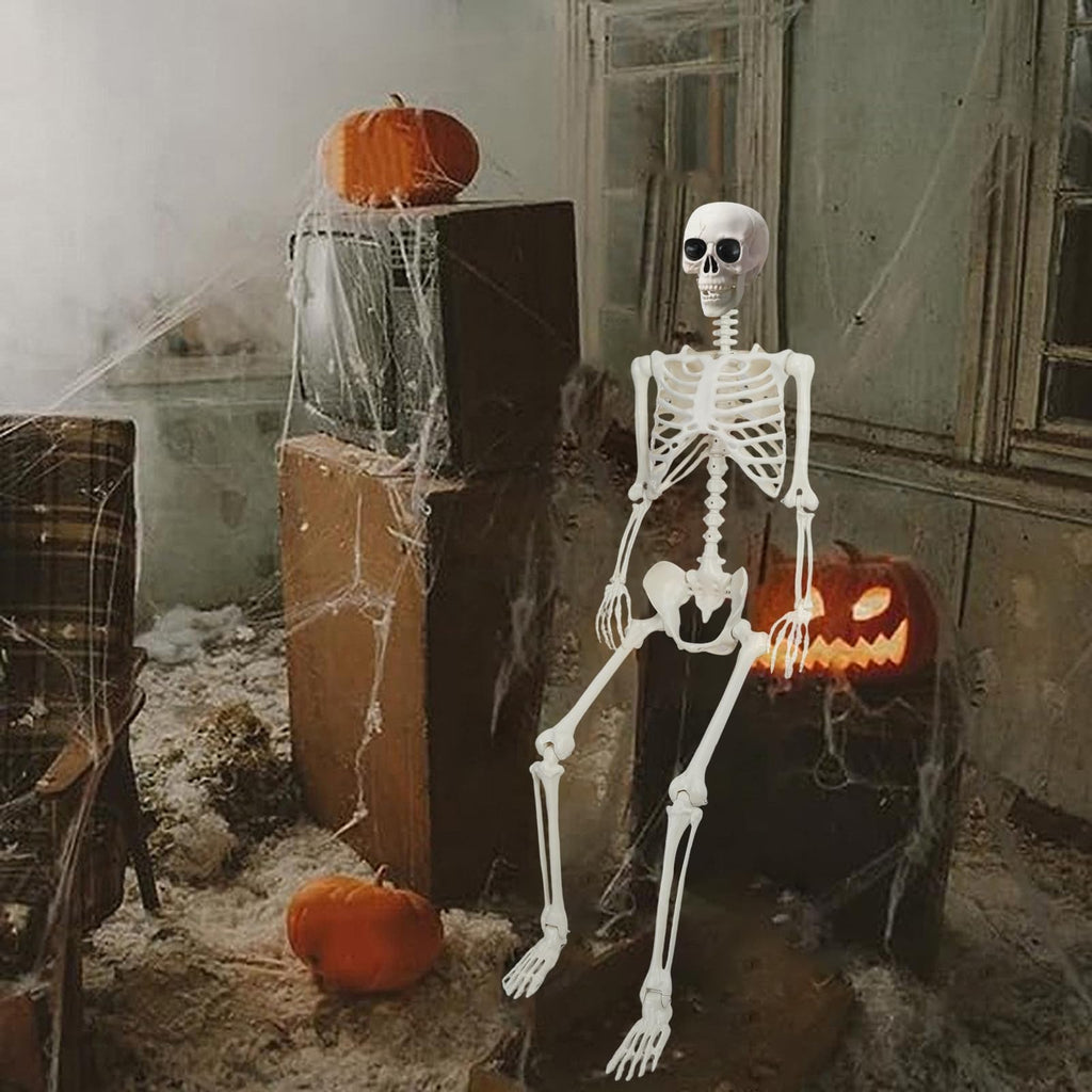 5.4Ft/165cm Life Size Skeleton with Movable Joints J695