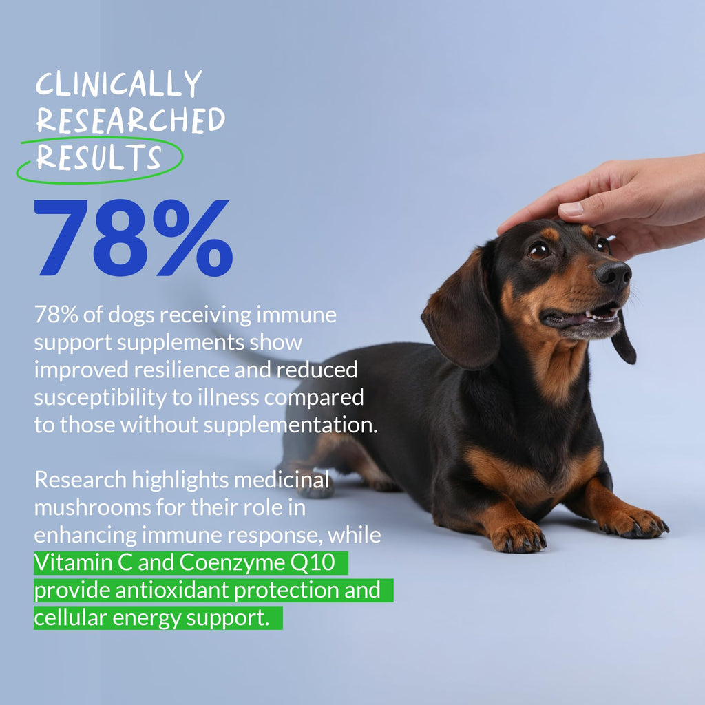 Turkey Tail Mushroom Supplement for Dogs, 120 ct D588326
