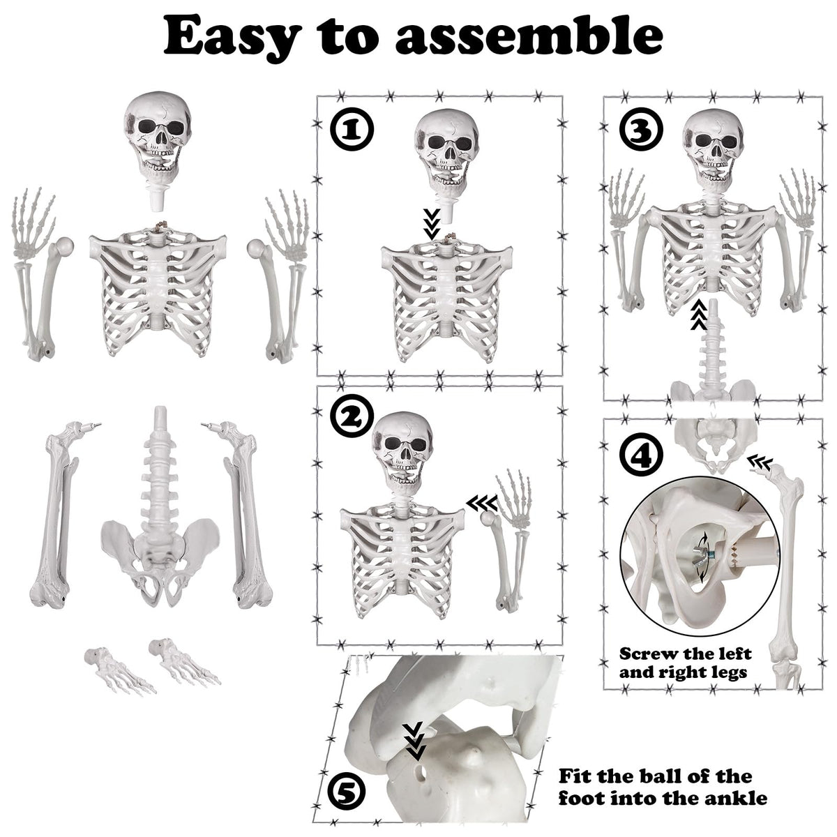 5.4ft Posable Life Size Skeleton with Movable Joints U62316