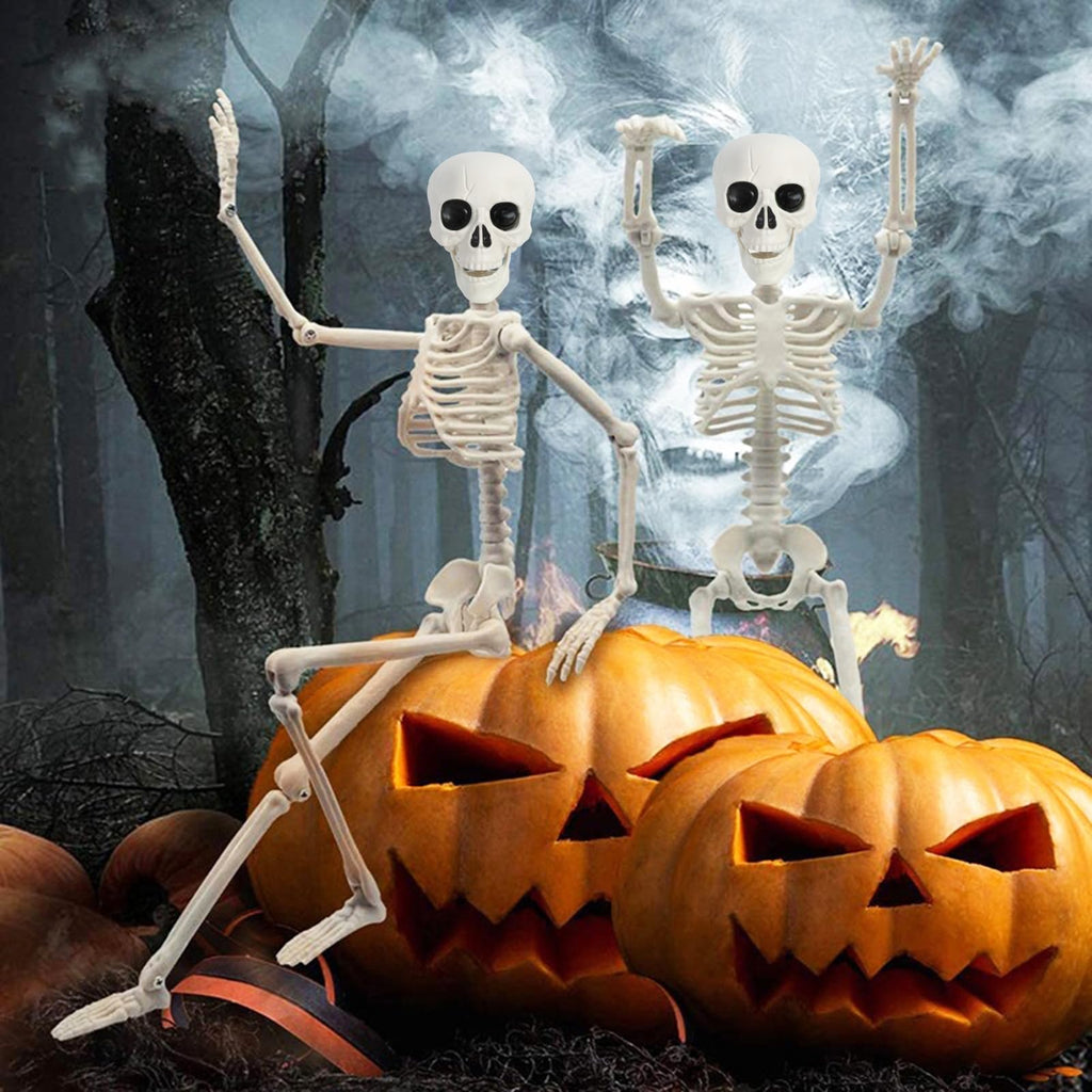 5.4Ft/165cm Life Size Skeleton with Movable Joints J695
