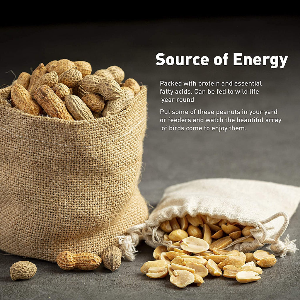 25 Pound Bag Raw Unsalted In-Shell Peanuts Q16816
