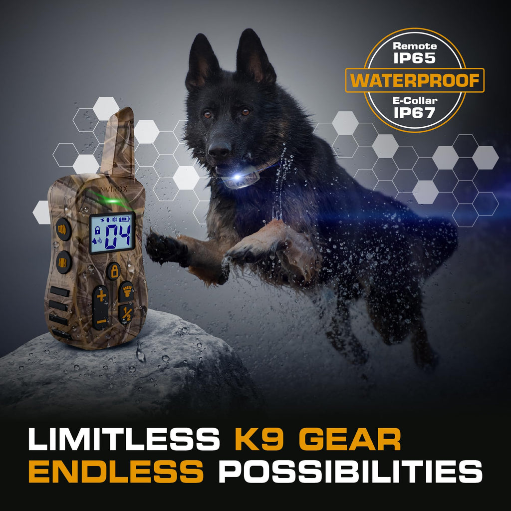 Dog Training Collar with Remote T32145