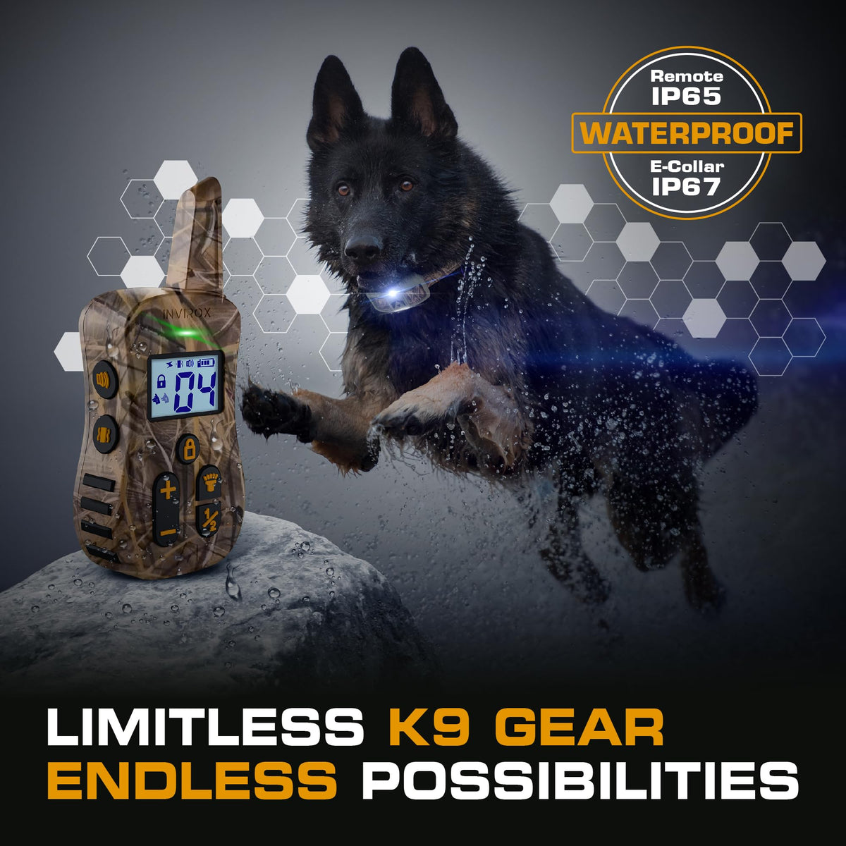 Dog Training Collar with Remote T32145