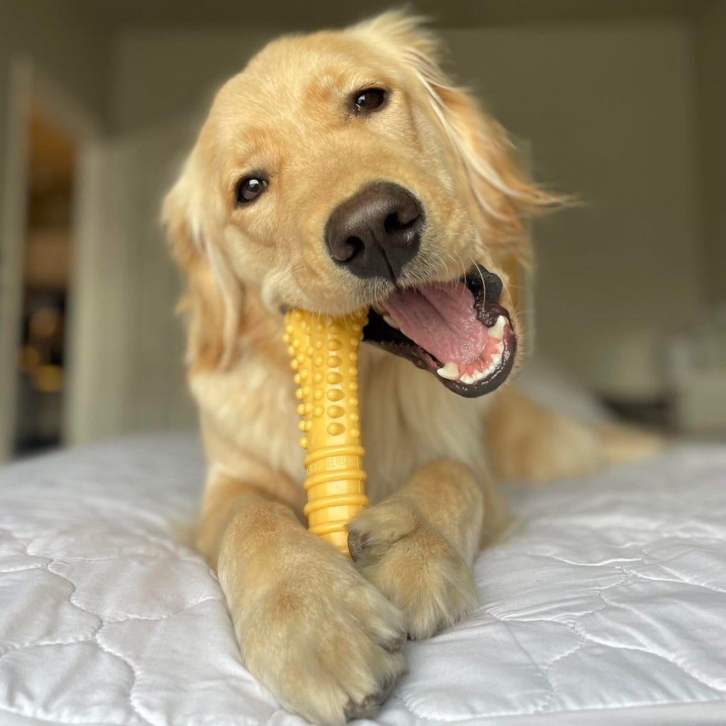 Dog Chew Toys, 3 Count, Large G3600