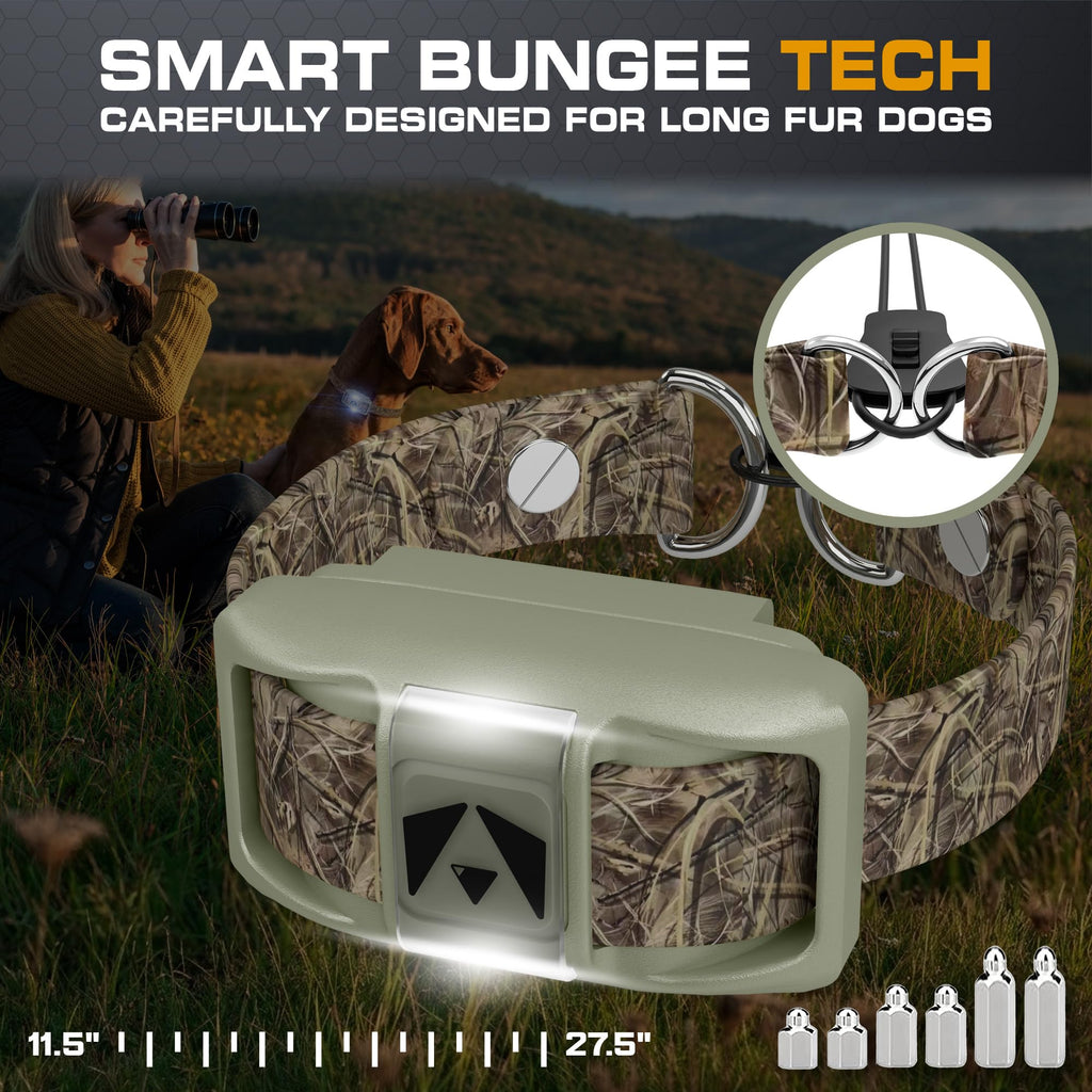 Dog Training Collar with Remote T32145