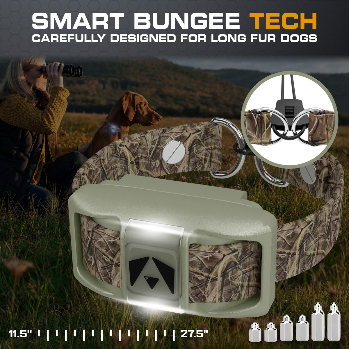Dog Training Collar with Remote T32145