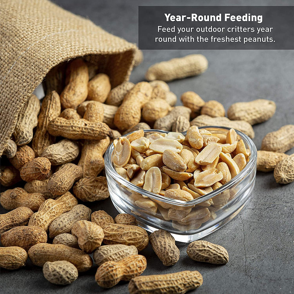 25 Pound Bag Raw Unsalted In-Shell Peanuts Q16816
