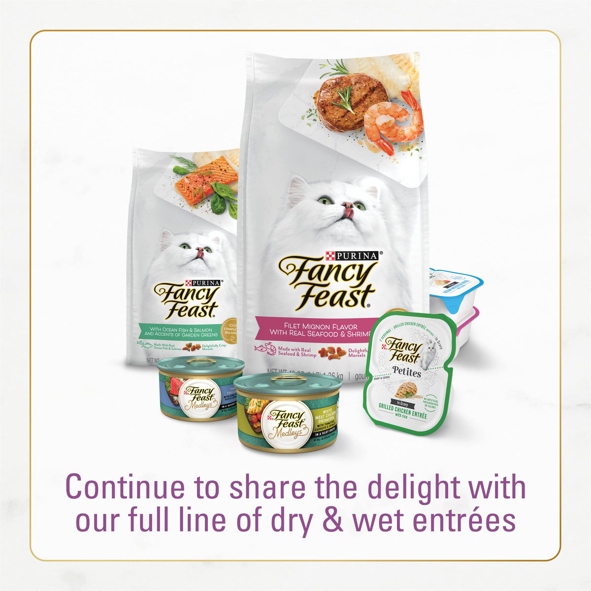 Chicken & Turkey Dry Cat Food 3lb Bag Z678947