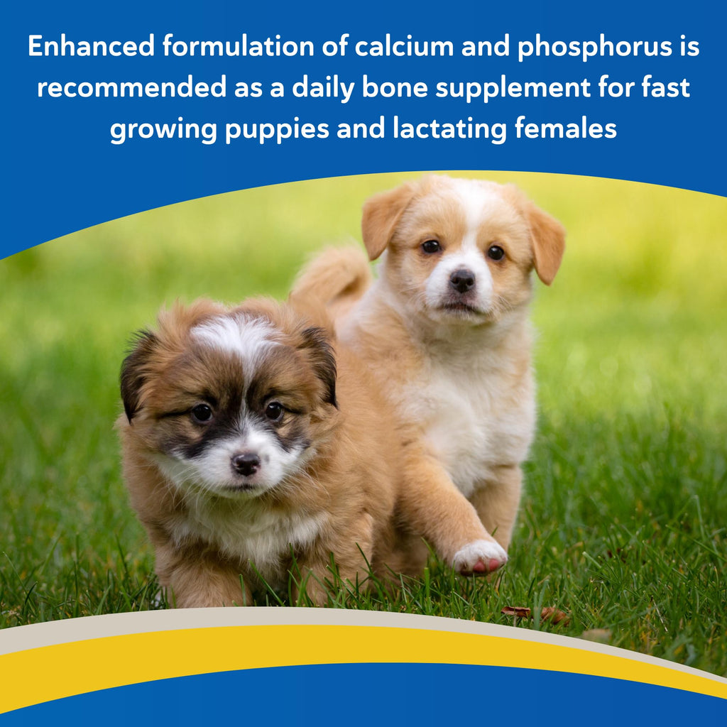 Calcium & Phosphorus Chews for Dogs & Cats, 100ct P55090