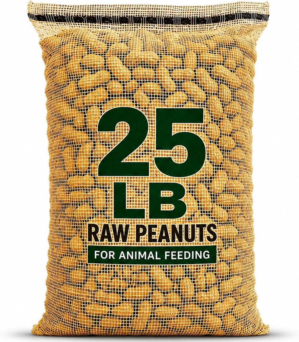 25 Pound Bag Raw Unsalted In-Shell Peanuts Q16816