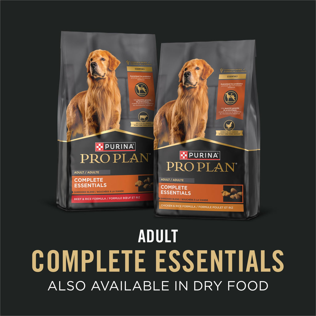 13 oz Wet Dog Food in Gravy N56902