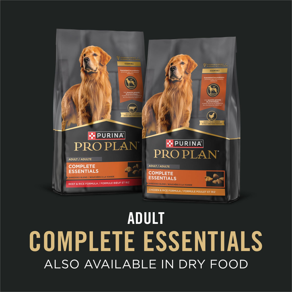 13 oz Wet Dog Food in Gravy N56902