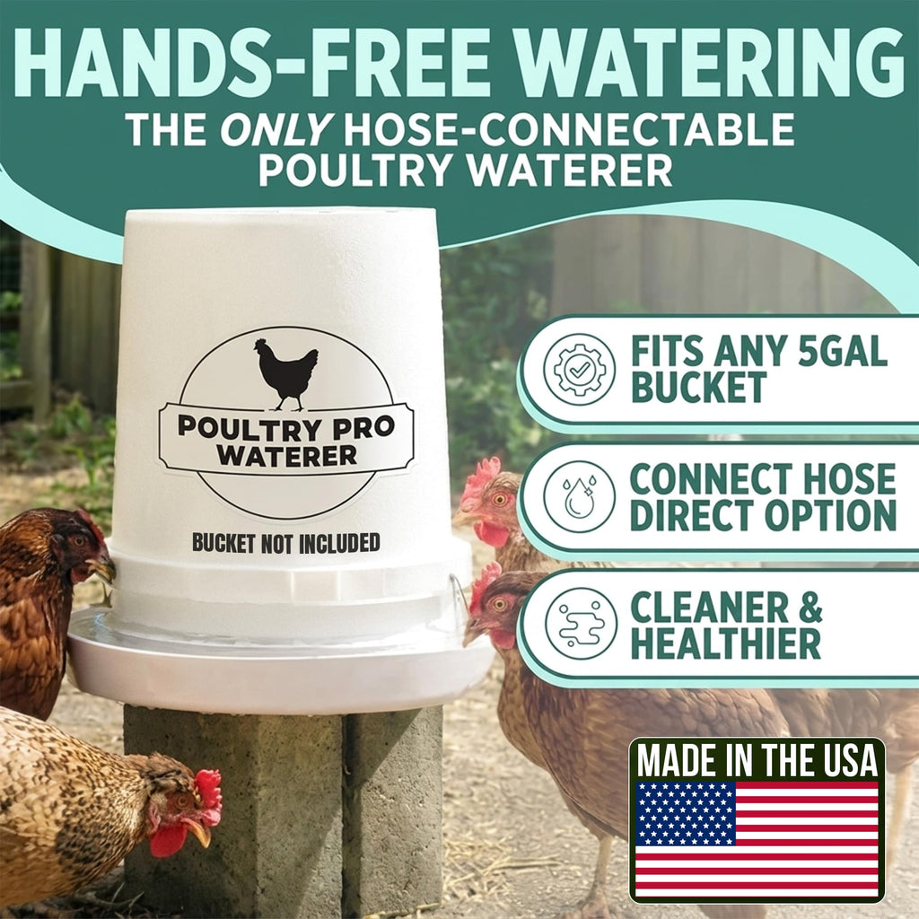 Chicken Feeder and Waterer Set with 3 Ports A682598