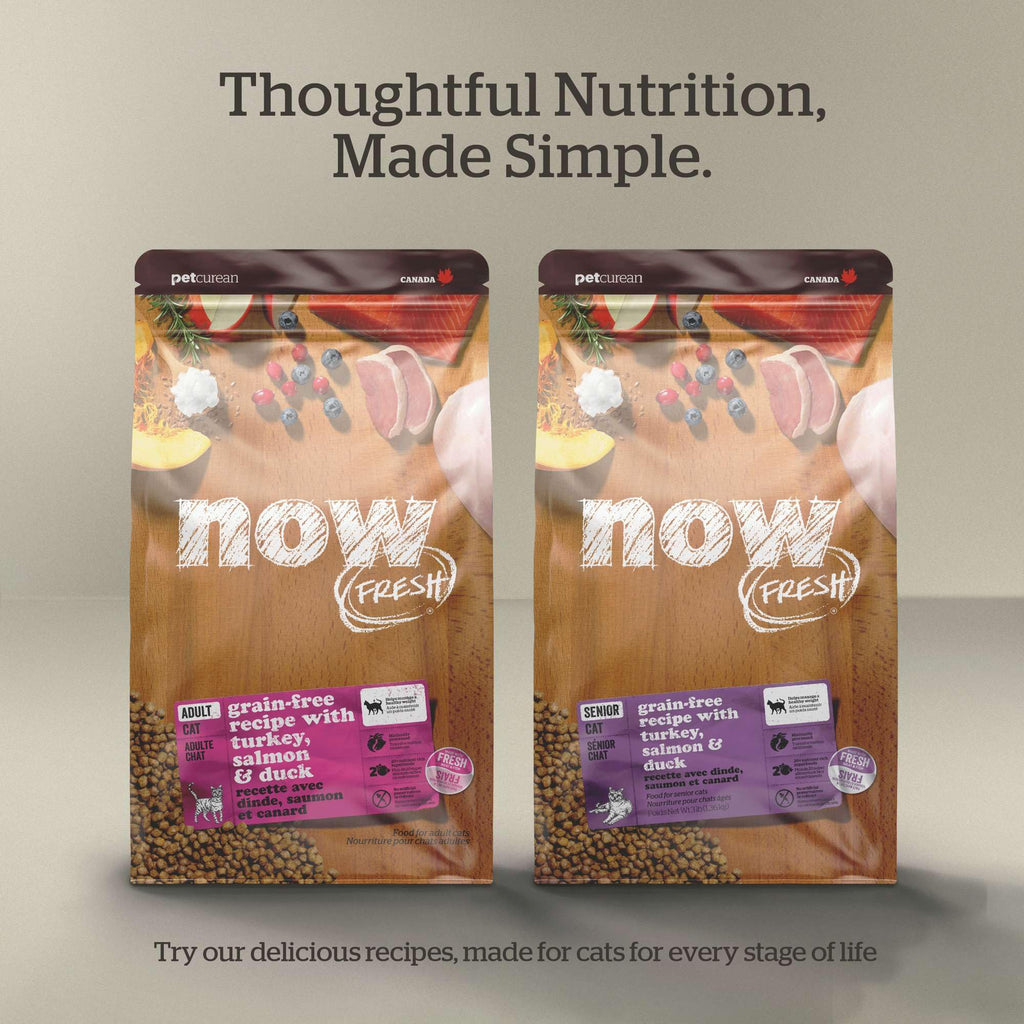 Grain-Free Turkey Salmon & Duck Dry Cat Food 3 lbs E236961