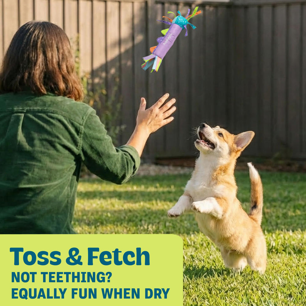 Cool Teething Stick Dental Dog Chew Toy F86290