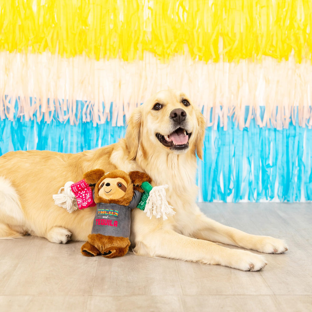 Plush Dog Toy A884