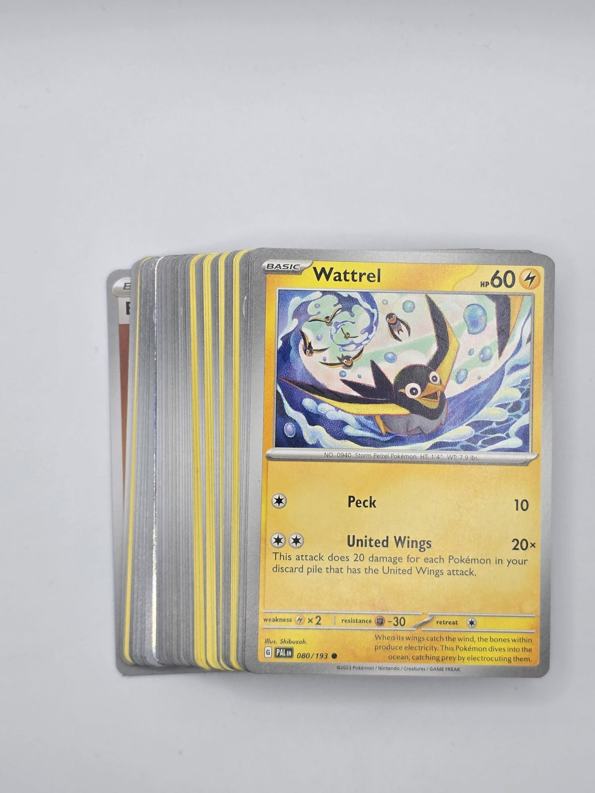 Pokemon TCG Random Cards 50 Cards O19386