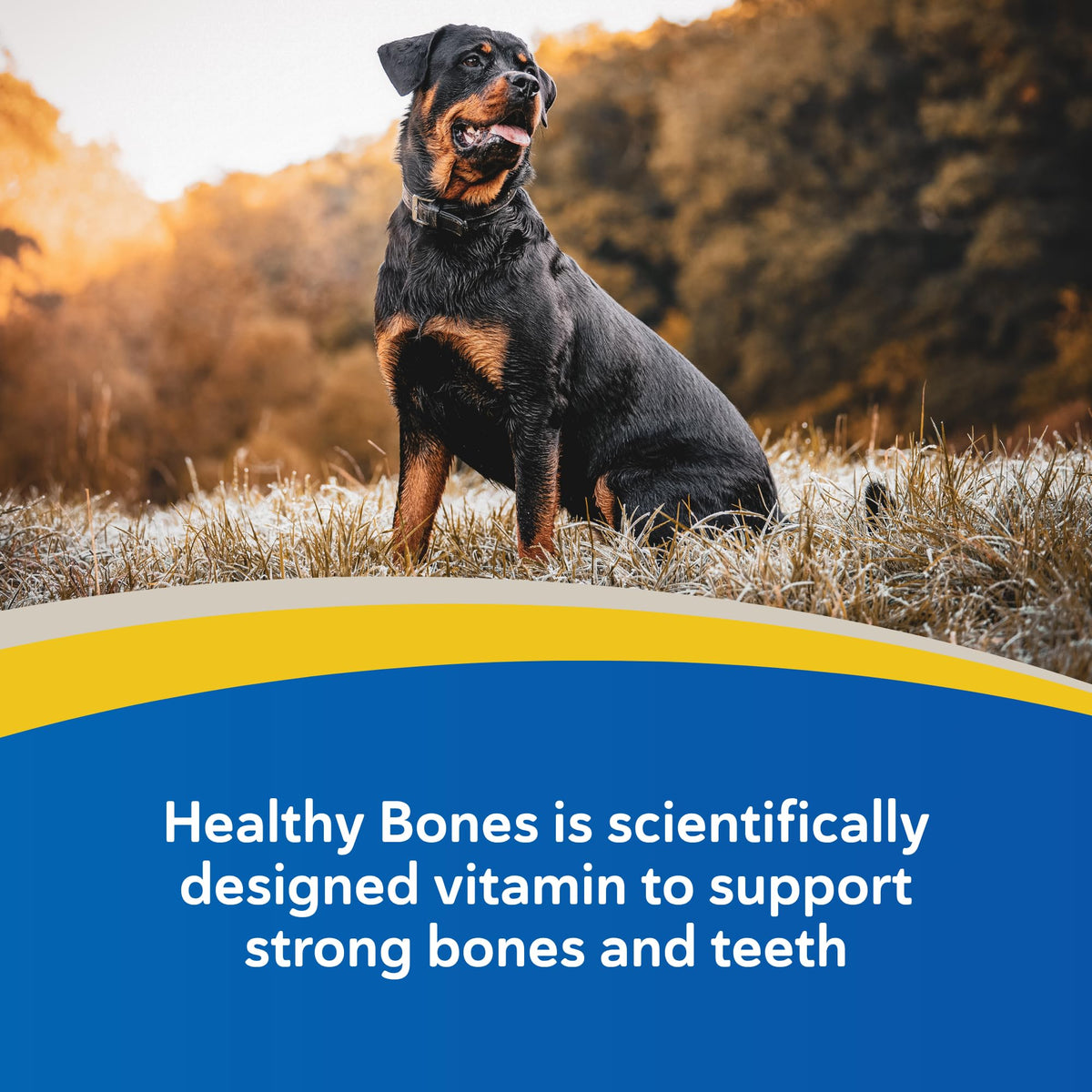 Calcium & Phosphorus Chews for Dogs & Cats, 100ct P55090