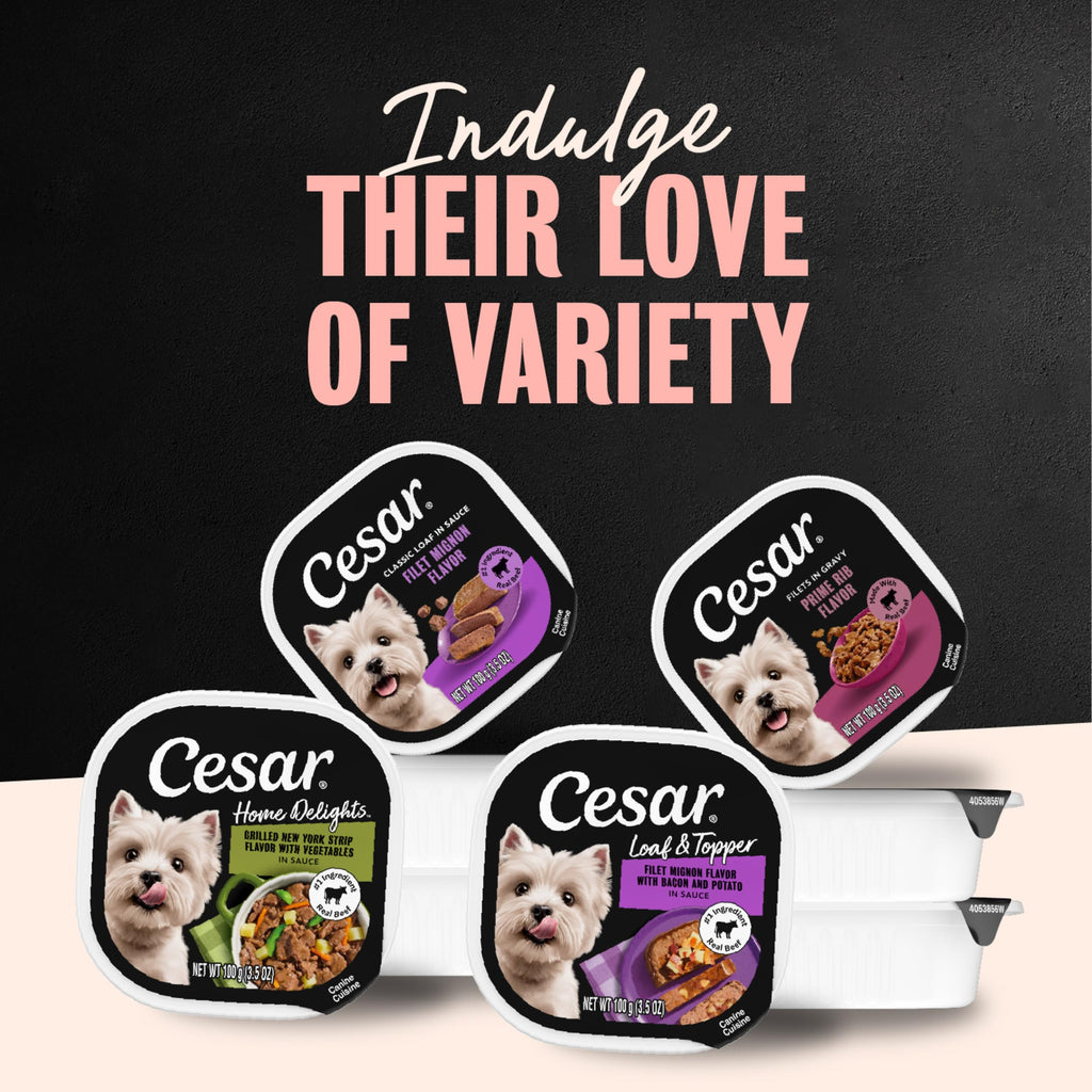 Steak Lovers Variety Pack Wet Dog Food 3.5 oz 36 Count P584907
