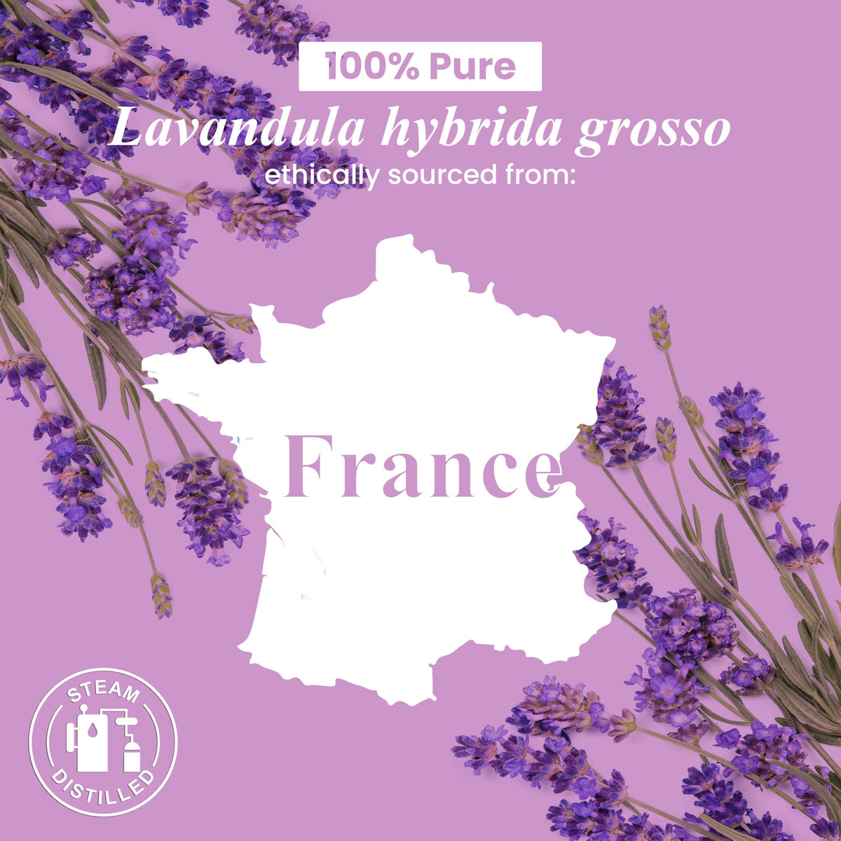 Lavender and Orange Essential Oils 2 x 4 Fl Oz I196