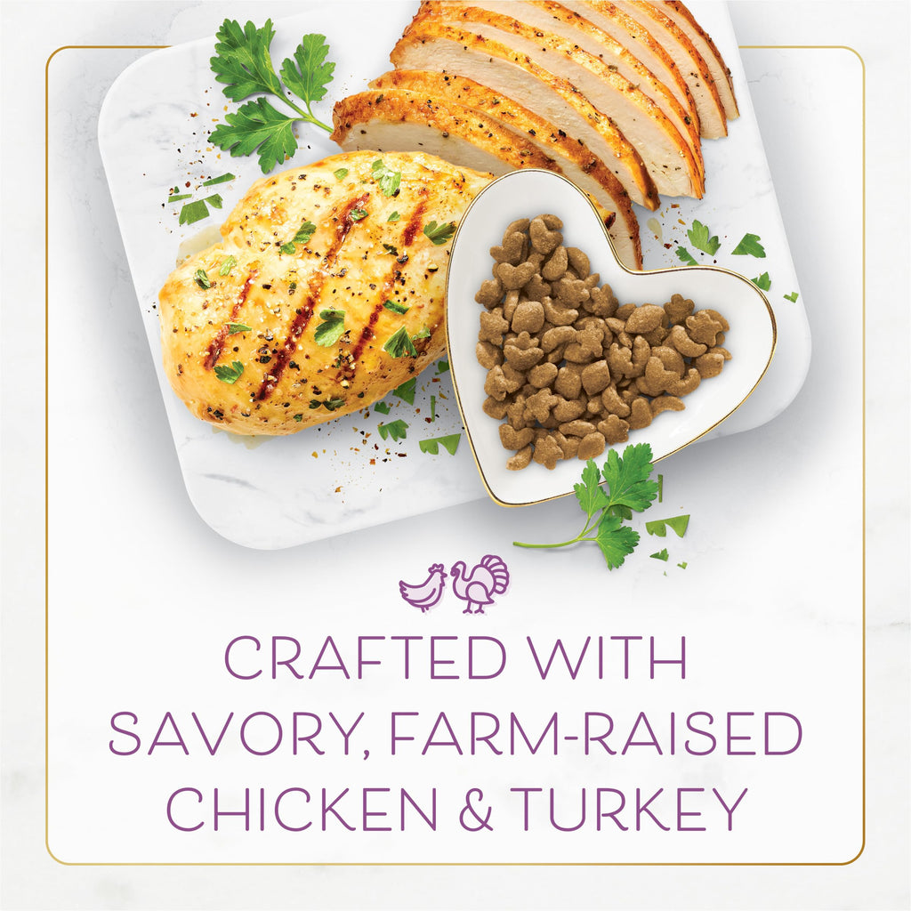 Chicken & Turkey Dry Cat Food 3lb Bag Z678947