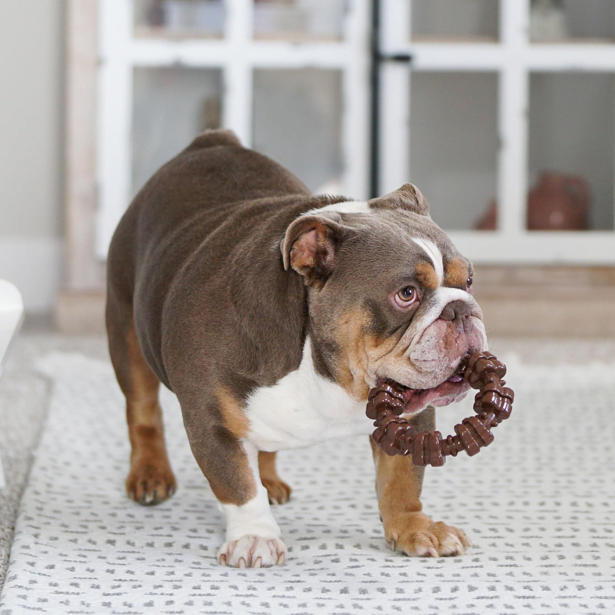 Dog Chew Toys, 3 Count, Large G3600