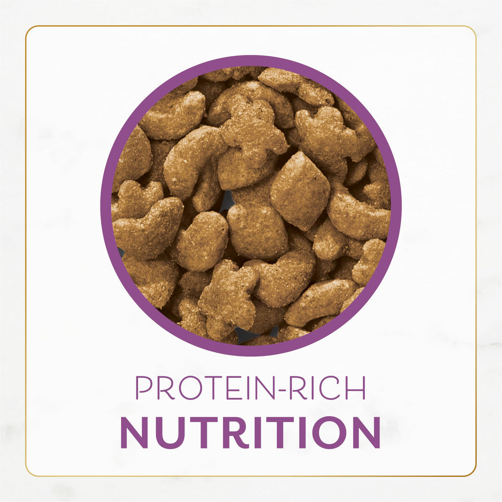 Chicken & Turkey Dry Cat Food 3lb Bag Z678947