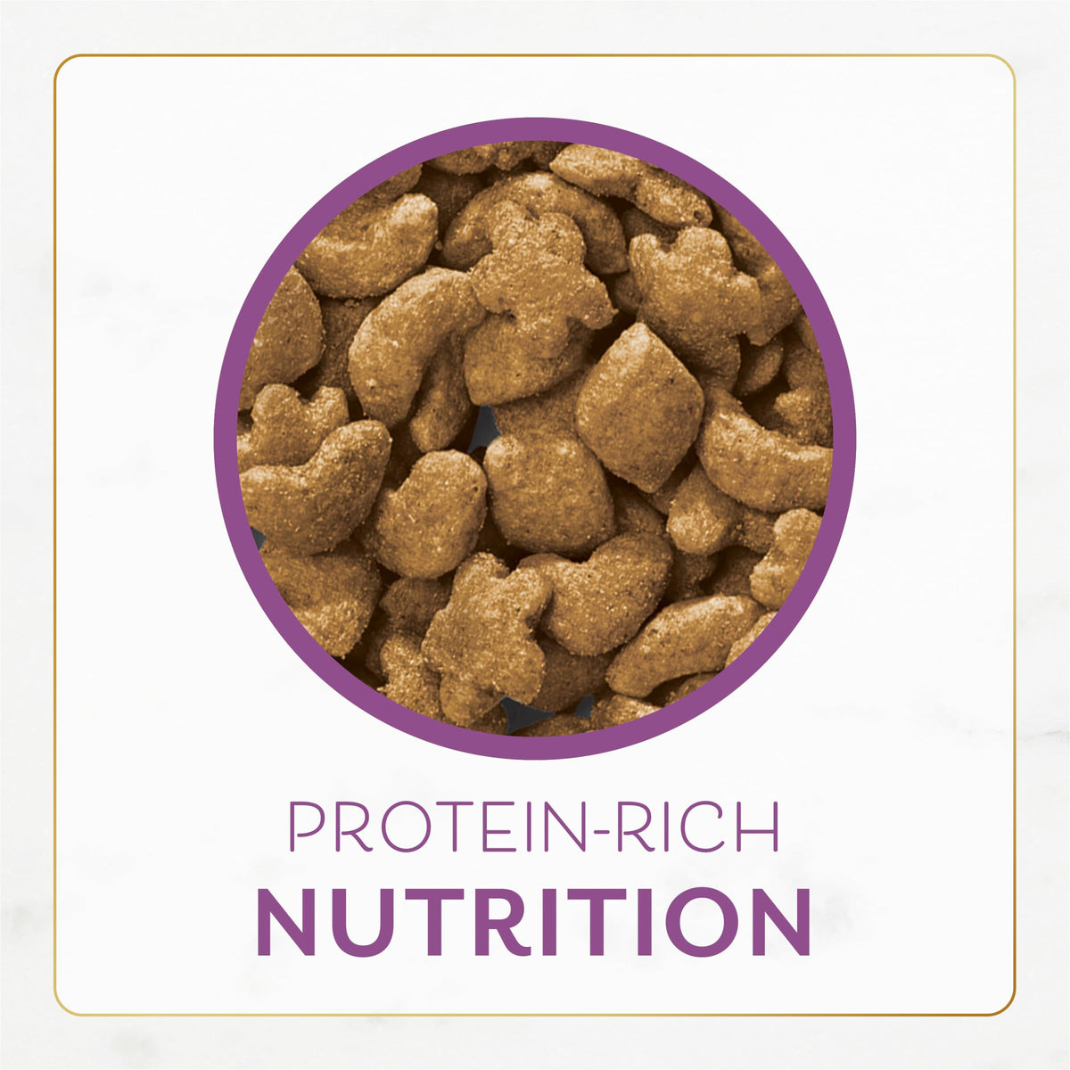 Chicken & Turkey Dry Cat Food 3lb Bag Z678947