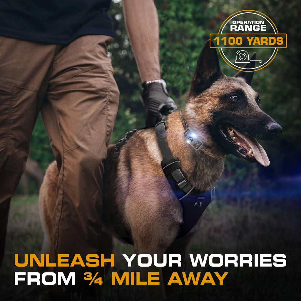 Dog Training Collar with Remote T32145