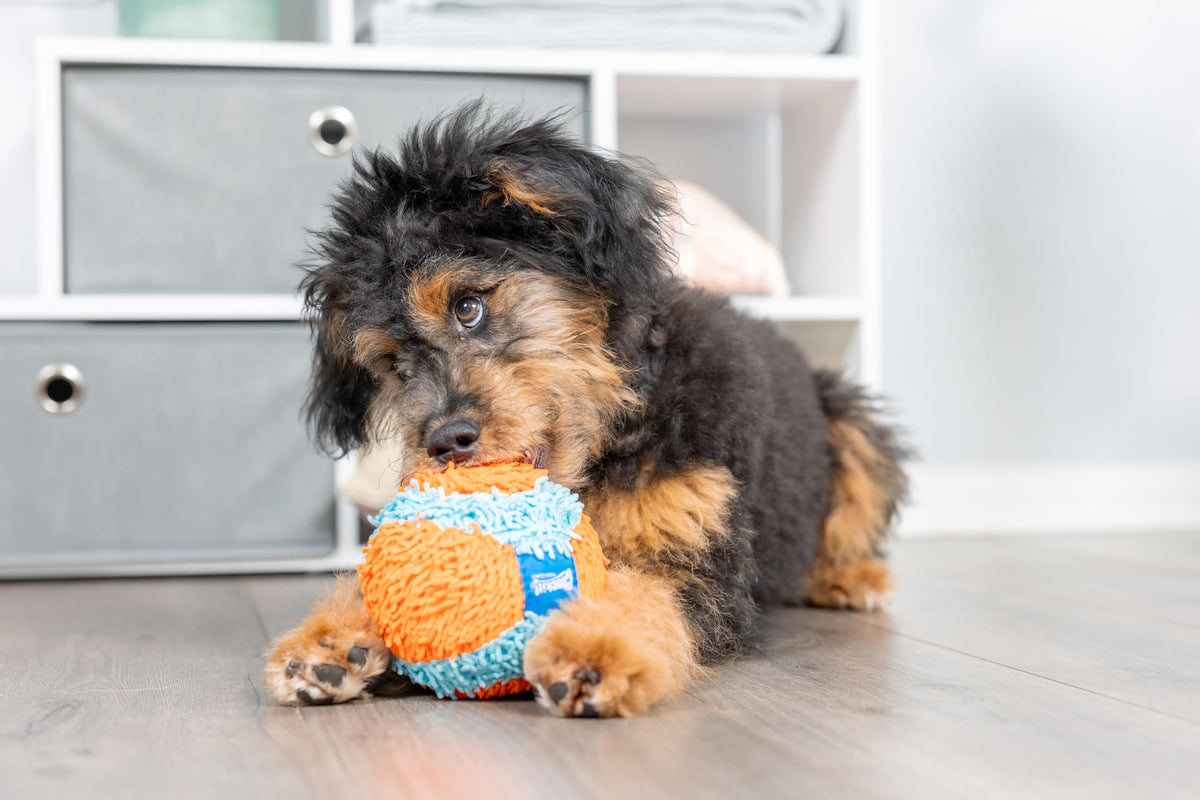 Indoor Fetch Ball Dog Toy, 4.75in, Orange and Blue B216469