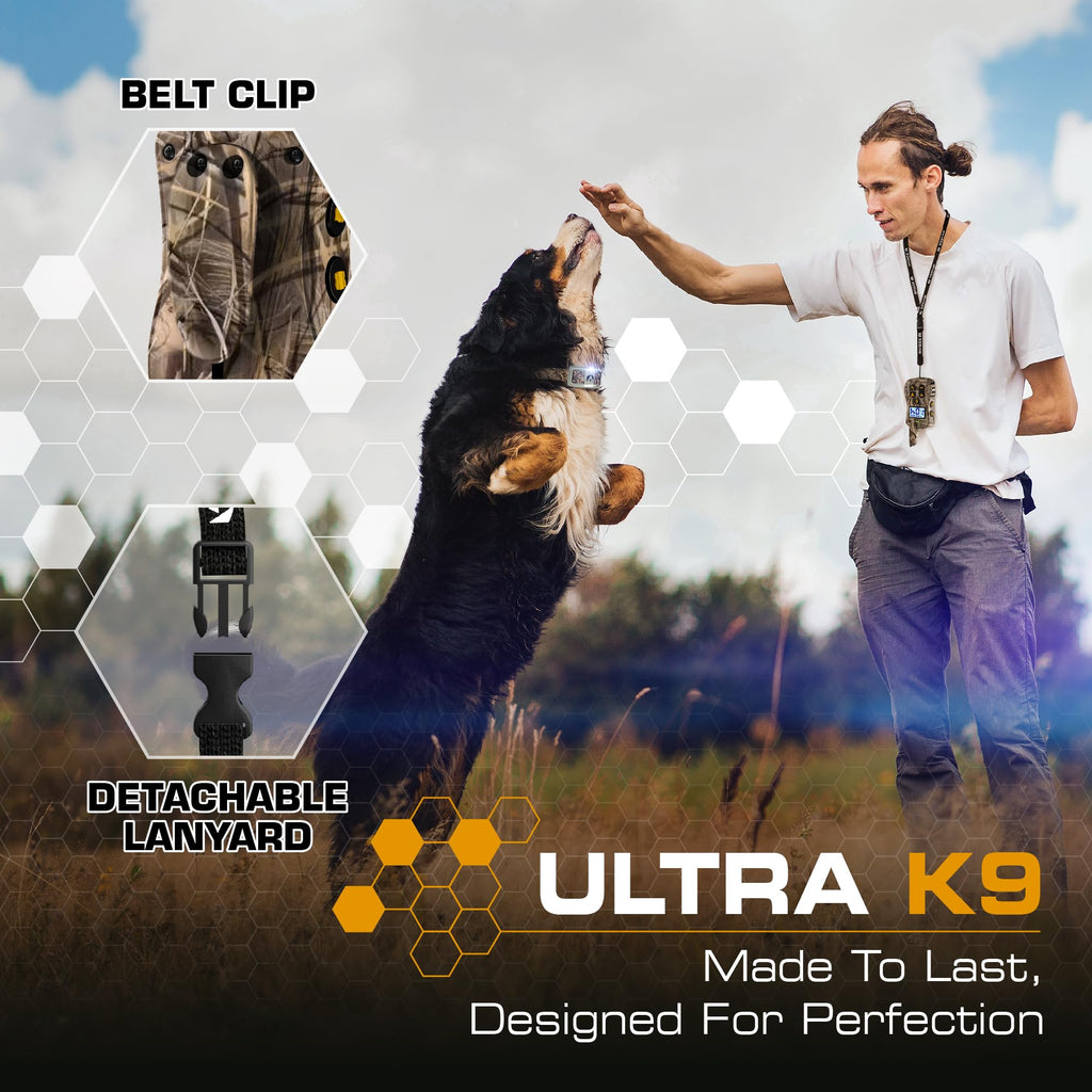 Dog Training Collar with Remote T32145