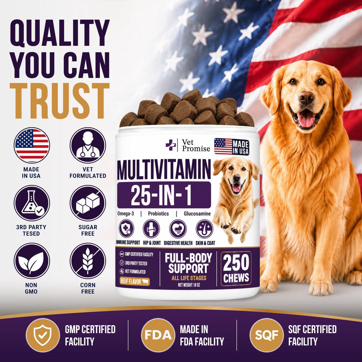 Dog Vitamins and Supplements, 250 Chews T8735